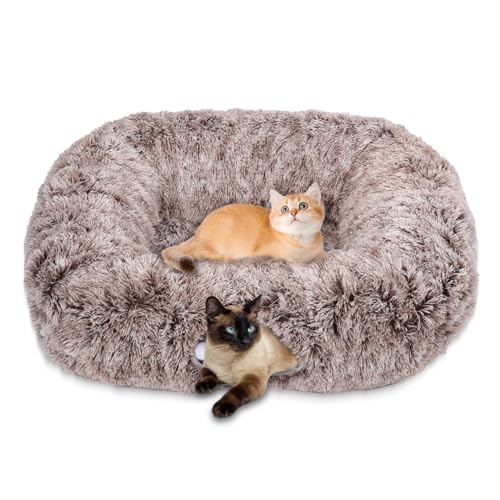 Vuxava XXL Katzentunnel Rechteckig Grau – Indoor Katzenspielzeug & Katzenhöhle mit weicher Liegefläche, 100×82 cm Bett & 180 cm Tunnel, 2 Eingänge, Waschbar & Abnehmbar Vuxava XXL Katzentunnel Rechteckig Grau – Indoor Katzenspielzeug & Katzenhöhle mit weicher Liegefläche, 100×82 cm Bett & 180 cm Tunnel, 2 Eingänge, Waschbar & Abnehmbar von Vuxava