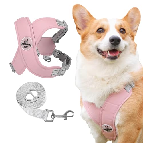 Vxcbad Welpen Geschirr Hundegeschirr Mit Leine Sicherheitsgeschirr Hund Anti Zug Hundegeschirrbrustgeschirr Hund X-Form Mit Leine Rosa Reflektierend FüR 5-9 Kg Hunde 1,5 M Vxcbad Welpen Geschirr Hundegeschirr Mit Leine Sicherheitsgeschirr Hund Anti Zug Hundegeschirrbrustgeschirr Hund X-Form Mit Leine Rosa Reflektierend FüR 5-9 Kg Hunde 1,5 M von Vxcbad