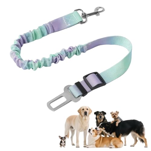 Vyloky Auto-Hundegeschirr, längenverstellbar, Hundesicherheitsgurt, elastisch stoßabsorbierend, Haustier-Sicherheitsgurt für alle Hunde und Katzen, geeignet für alle Fahrzeuge (Grün-Lila) von Vyloky