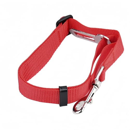 Vyloky Autosicherheitsgurt für Hunde – Stoßdämpfend & Verstellbar (45-72cm) – Für Kleine/Mittelgroße Hunde wie Teddy – 5 Farben – Sicher im Auto (ROT) von Vyloky