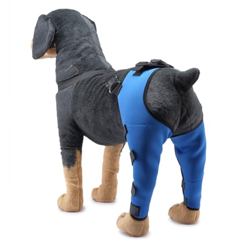 Vyloky Hinterknienschutz für Hunde | Verstellbares Fünfbein | XS-L | Schmerzlinderung aus atmungsaktivem Polyester | Verstärkter Magic Sticker (mit Spiegelstreifen) (Blau,S) von Vyloky