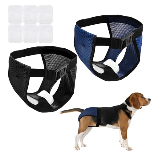 2 Stück Hundehöschen Läufigkeit Wiederverwendbare,Verstellbare Schutzhose L,Pack Mesh Läufigkeitshose mit 6 Damenbinden,Waschbar Hundehöschen,Packung Hündinnen Läufigkeitshose für Weibliche Haustiere von Vylro