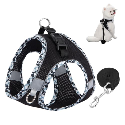 Katzengeschirr mit Leine Ausbruchsicher (Schwarz, XXS), Katzengeschirr Ausbruchsicher, Verstellbares Katzen Geschirr, Hundegeschirr Kleine Hunde mit Leine, Cat Harness, für Wandern, Trainieren von Vylro