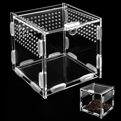 Reptile Fütterungsbox,10×10×10cm Acryl Terrarium Schnecken,Zusammengebaute Springspinne Terrarium Set,Acryl Insekten Faunarium,Mini Insektarium klein,Acrylic Feeding Box für Springspinnen,Skorpion von Vylro