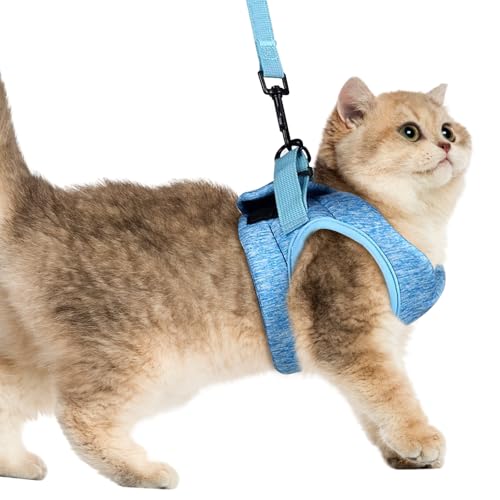 Softgeschirr für Katze, Blau Katzengeschirr mit Leine, Größe M Verstellbares Katzengeschirr Ausbruchsicher, Kitten Geschirr und Leine, Ultraleicht, für Wandern, Camping, Ausflüge, Tierarztbesuche von Vylro