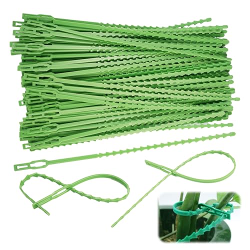100 Stück Pflanzenbinder Verstellbare,23CM Wiederverwendbare Kabelbinder für Pflanzen,Kunststoff Pflanzenbinder Grün,Tomaten Befestigung,Gartenbindungen für Topfpflanzen Gartenbaum Sträucher Binden von Vylro