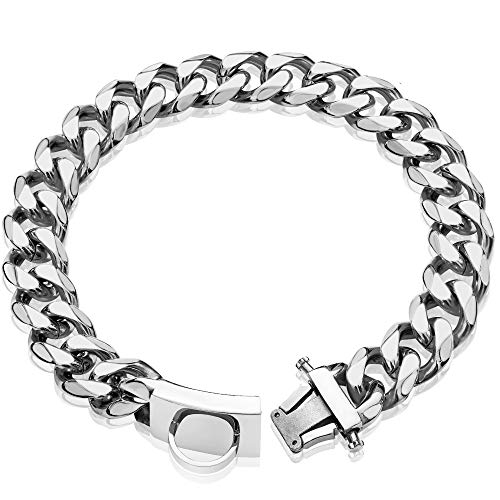 Hundehalsband, Metall, mit sicherer Schnalle, robust, kaufest, für kleine Hunde (19 mm, 35,6 cm) von W/W Lifetime