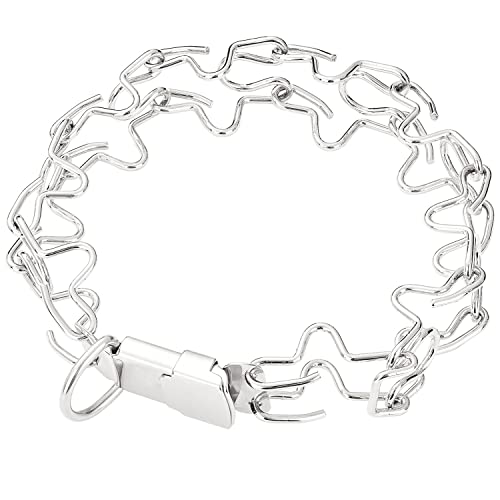 W/W Lifetime Halsband mit Schnalle, Schnellverschluss, verstellbar, Chrom-Edelstahl, mit Erkennungsmarke, Komfort, kein Ziehen, Hundehalsband (Schnalle, L, Silber) von W/W Lifetime