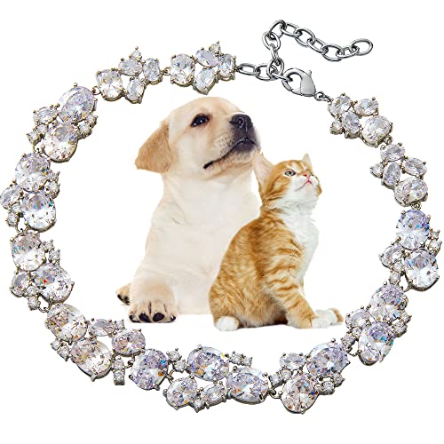 W/W Lifetime Hundehalsband, Zirkonia, glitzerndes Halsband für Welpen, Kätzchen, verstellbares Katzenhalsband mit vereisten Kristallsteinen, Uhrenband, Halskette, Schmuck für kleine, mittelgroße Hunde von W/W Lifetime