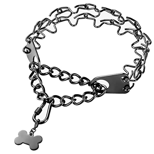 W/W Lifetime Hundehalsband mit Schnalle, Schnellverschluss, verstellbar, verchromt, Edelstahl, mit Erkennungsmarke, Komfort, kein Ziehen, Hundehalsband (Verschluss, schwarz) von W/W Lifetime