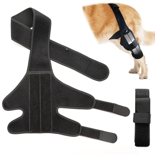WADY Hundekniebandage für Hinterbein, Hundekniebandage für Wundverletzungen und Verstauchungsheilung von Arthritis für gerissenes ACL Vorderbein, Kreuzbandstütze für Cocker Spaniel, Yorkie, Arthritis von WADY