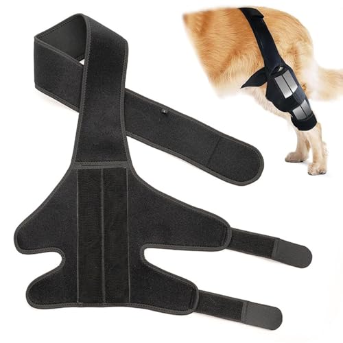 WADY Hundekniebandage für Hinterbein, Hundekniebandage für Wundverletzungen und Verstauchungsheilung von Arthritis für gerissenes ACL Vorderbein, Kreuzbandstütze für Cocker Spaniel, Yorkie, Arthritis von WADY