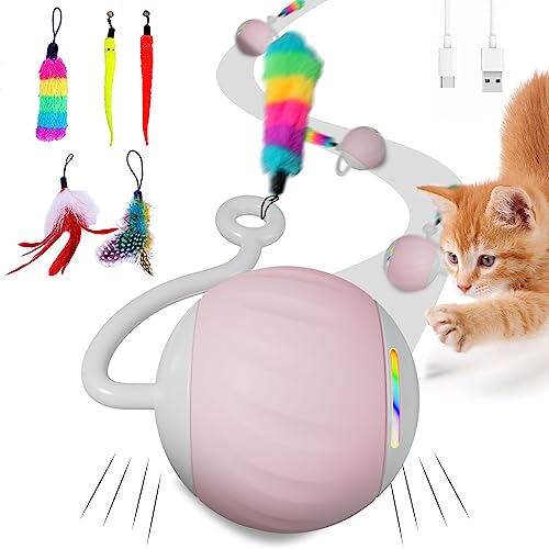 WAKHJAKT Katzenspielzeug/Welpen-Hundespielzeug WAKHJAKT Katzenspielzeug/Welpen-Hundespielzeug von WAKHJAKT