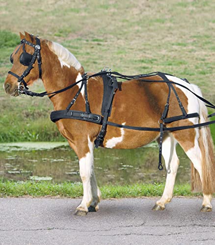 Einspänner Synthetikgeschirr, Pony und Shetty von WALDHAUSEN