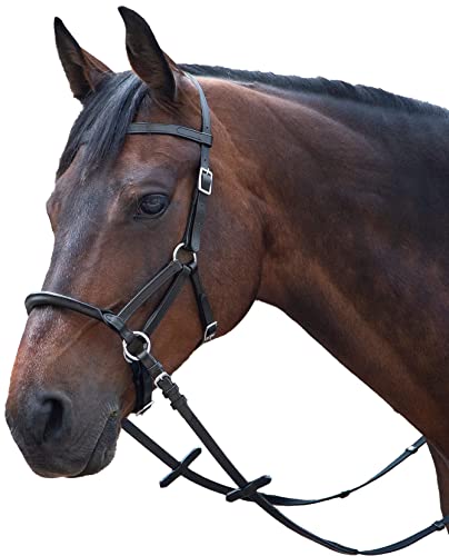LINDA TELLINGTON JONES Lindel Pony, schwarz von WALDHAUSEN