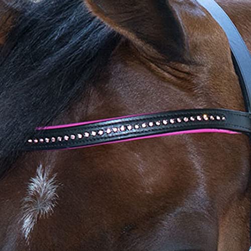 STAR Trensenzaum Diamond ENGL.Komb., Fuchsia, Pony STAR Trensenzaum Diamond ENGL.Komb., Fuchsia, Pony von WALDHAUSEN