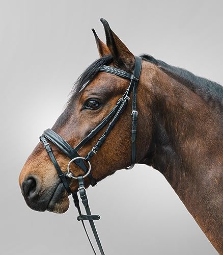 STAR Trensenzaum Diamond ENGL.Komb., schwarz, Pony von WALDHAUSEN