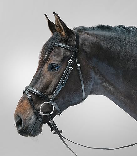 STAR WALDHAUSEN Trensenzaum Lifestyle, SH, schwarz/weiß von WALDHAUSEN