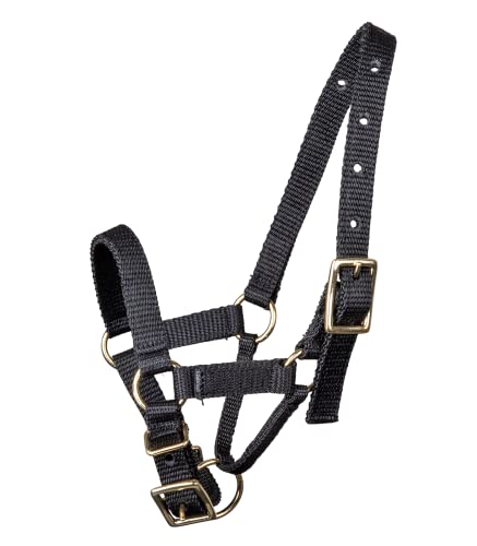 WALDHAUSEN Alpaka Halfter, M, schwarz von WALDHAUSEN