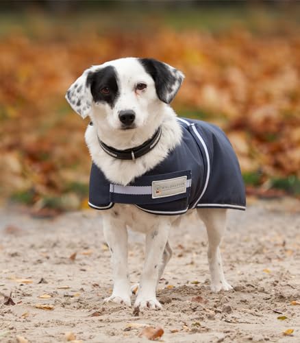 WALDHAUSEN COMFORT Hundedecke, 200 g, 55 cm, blau WALDHAUSEN COMFORT Hundedecke, 200 g, 55 cm, blau von WALDHAUSEN