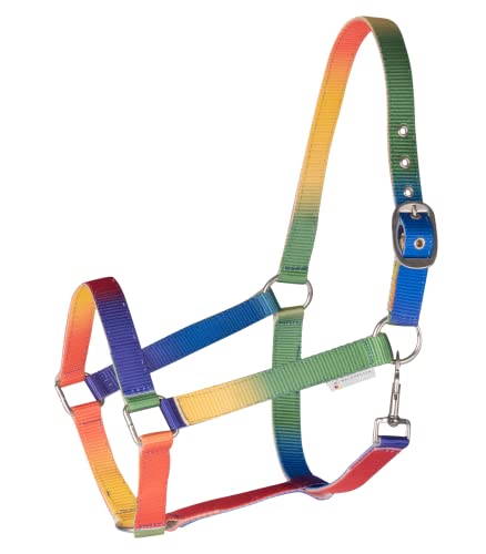 WALDHAUSEN Halfter Regenbogen, SH, Gemustert WALDHAUSEN Halfter Regenbogen, SH, Gemustert von WALDHAUSEN