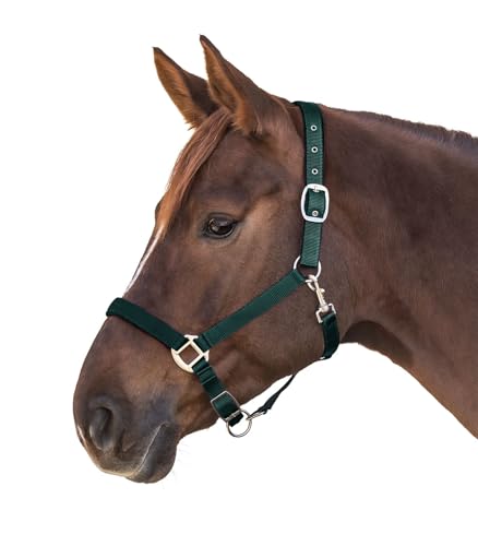 Waldhausen Perlonhalfter Satin, tannengrün, Pony von WALDHAUSEN
