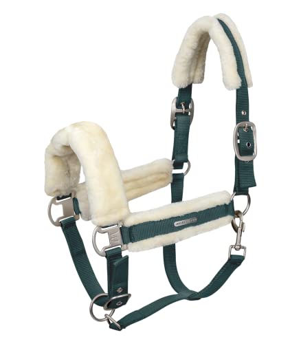 WALDHAUSEN Halfter Soft, PON, grün WALDHAUSEN Halfter Soft, PON, grün von WALDHAUSEN