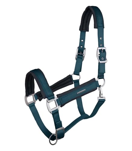 WALDHAUSEN Halfter Soft Touch, Petrolblau, Pony von WALDHAUSEN