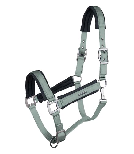 WALDHAUSEN Halfter Soft Touch, silberblau, Pony von WALDHAUSEN