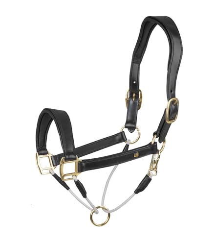 WALDHAUSEN Lederhalfter S-Line Royal, schwarz, WB von WALDHAUSEN