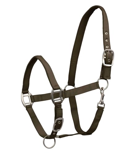 WALDHAUSEN Perlonhalfter Satin, grünbraun, Shetty WALDHAUSEN Perlonhalfter Satin, grünbraun, Shetty von WALDHAUSEN