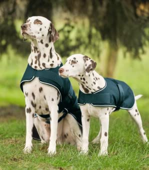 WALDHAUSEN Regen-Hundedecke, 55 cm, grün WALDHAUSEN Regen-Hundedecke, 55 cm, grün von WALDHAUSEN