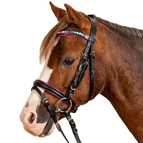 WALDHAUSEN STAR Trensenzaum Pinky, PON, schwarz WALDHAUSEN STAR Trensenzaum Pinky, PON, schwarz von WALDHAUSEN