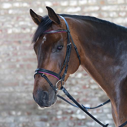 WALDHAUSEN Star Trensenzaum Diamond ENGL.Komb, Fuchsia, Minishetty von WALDHAUSEN