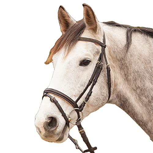 WALDHAUSEN Star Trensenzaum Diamond ENGL.Komb., braun/Gold, Pony von WALDHAUSEN
