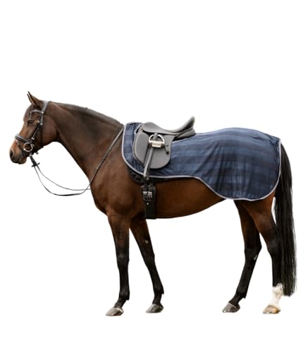 Waldhausen Fliegen-Ausreitdecke Economic, Nachtblau, Pony von WALDHAUSEN