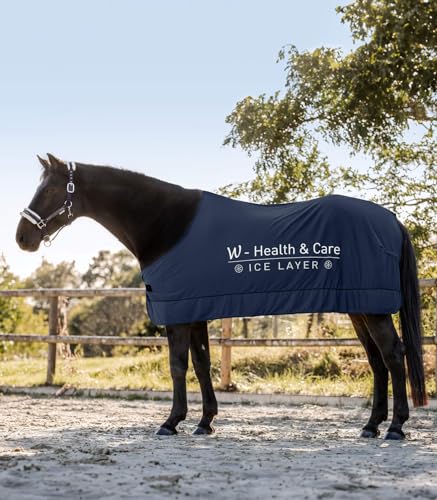 Waldhausen Health + Care Ice-Layer Decke, Nachtblau, 165 cm Waldhausen Health + Care Ice-Layer Decke, Nachtblau, 165 cm von WALDHAUSEN