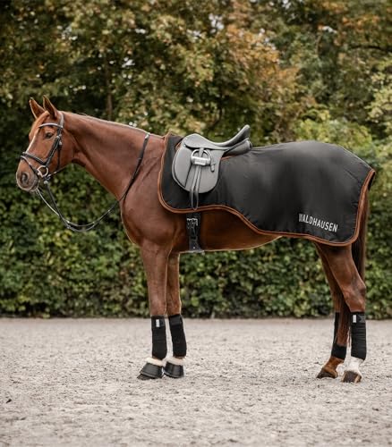 Waldhausen Regen Ausreitdecke Perth 50g, schwarz, WB Waldhausen Regen Ausreitdecke Perth 50g, schwarz, WB von WALDHAUSEN