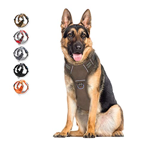 WALKTOFINE Hundegeschirr, kein Ziehen, reflektierend, verstellbar, mit 2 Leinenclips, Hundeweste mit einfachem Kontrollgriff für kleine, mittelgroße und große Hunde von WALKTOFINE