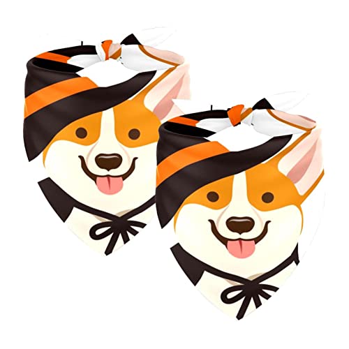 2 Stück Hundehalstücher Mädchen Junge Haustier Lätzchen Hundeschal für kleine, mittelgroße und große Hunde Welpe Katze, Halloween Hexenkostüm Schwarzer Hut Umhang Corgi Welpe Hund von WALLDOR