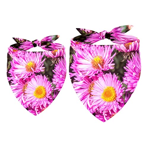 Hundehalstuch, Motiv: New England Aster, Mädchen, Jungen, Halstuch, Zubehör für kleine, mittelgroße und große Hunde, Welpen, Katzen, Haustiere, 2 Stück Hundehalstuch, Motiv: New England Aster, Mädchen, Jungen, Halstuch, Zubehör für kleine, mittelgroße und große Hunde, Welpen, Katzen, Haustiere, 2 Stück von WALLDOR