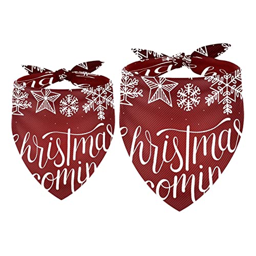 Hundehalstuch, Weihnachtsmotiv mit weißer Schneeflocke, für Mädchen und Jungen, Halstuch, Zubehör für kleine, mittelgroße und große Hunde, Welpen, Katzen, Haustiere, 2 Stück von WALLDOR