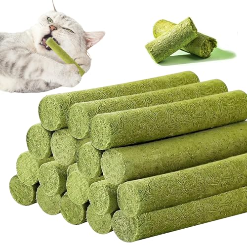 WANDGU 120 g Katzengras Snack: Katzengras Sticks, Gefriergetrocknet Snacks für Katzen, Cat Grass Teething Stick, Beißstäbe Aus Katzengras für Hauskatzen für die Zahnpflege und Haarknäuel Entfernen WANDGU 120 g Katzengras Snack: Katzengras Sticks, Gefriergetrocknet Snacks für Katzen, Cat Grass Teething Stick, Beißstäbe Aus Katzengras für Hauskatzen für die Zahnpflege und Haarknäuel Entfernen von WANDGU