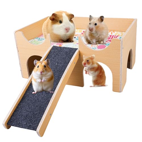WANDGU Großes Meerschweinchenhaus aus Massivholz mit Rampe & 3 Eingängen: 38 x 24 x 18 cm Natürliches Kaninchenhaus, Meerschweinchen Zubehoer Kaninchenhaus für Ratten, Hamster & Kleintiere3 WANDGU Großes Meerschweinchenhaus aus Massivholz mit Rampe & 3 Eingängen: 38 x 24 x 18 cm Natürliches Kaninchenhaus, Meerschweinchen Zubehoer Kaninchenhaus für Ratten, Hamster & Kleintiere3 von WANDGU