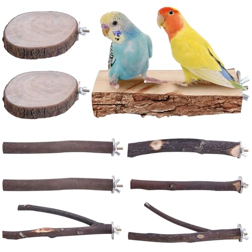 WANDGU Natur Sitzstangen für Vögel: Vogelstange aus Holz, Stehend Vogelkäfig Zubehör, Sittichsitzstange, Wellensittichsitzstange, Wellensittich Zubehör, Vogelspielzeug Schaukel für Vogelkäfige WANDGU Natur Sitzstangen für Vögel: Vogelstange aus Holz, Stehend Vogelkäfig Zubehör, Sittichsitzstange, Wellensittichsitzstange, Wellensittich Zubehör, Vogelspielzeug Schaukel für Vogelkäfige von WANDGU