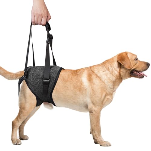 WANDGU Tragehilfe Hund XL: Hundehebegeschirr, Hundehebegeschirr für Hinterbeine, Verstellbare Mobilitätshilfe für Hinterläufe bei Schwäche, Verletzung oder Rehabilitation für Behinderte, Ältere Tiere von WANDGU