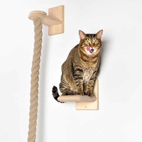 WANGJIANPENGPL Katzen Wand Klettern, Katzenmöbel Wand, mit Kratzbaum, Kätzchen-Strickleiter mit Sprungplattform, Wandstufen Zum Spielen und Ausruhen(130cm/51in) von WANGJIANPENGPL
