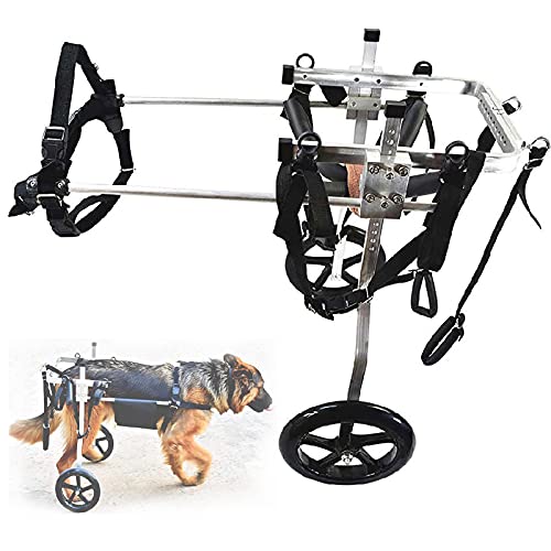 WANGPP Hundewagen/Rollstuhl,Haustierrollstuhl,für Mittelgroße Hunde,für Hunde Rollstuhl-Hinterbeinrehabilitation Für Behinderte-2 Räder von WANGPP
