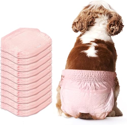 WANGXIAOKE Hundewindeln, 10 Stück elastische Hundewindeln, Mutter Katze Windeln, kleine, auslaufsichere Klimmzughose WANGXIAOKE Hundewindeln, 10 Stück elastische Hundewindeln, Mutter Katze Windeln, kleine, auslaufsichere Klimmzughose von WANGXIAOKE