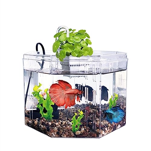 Aquarium Isolationsbox for kleine Aquarien, Zucht, spezielles transparentes Acryl-Aquarium mit Pumpenfiltration, Zieraquarium, Büro, Zuhause Fischglas von WAOCEO